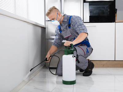 About Carrollton Pest Control Guys - pest control experts in Carrollton