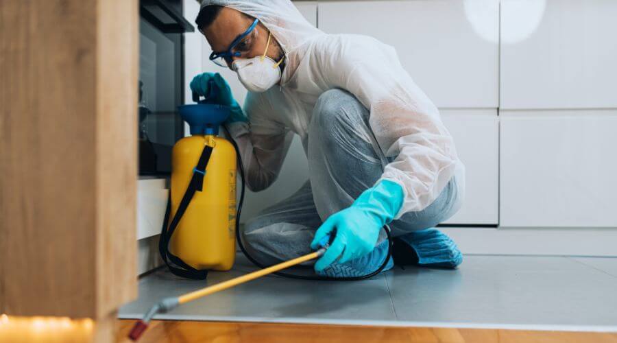 Professional pest control services in Carrollton - Carrollton Pest Control Guys